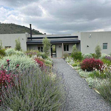Windon Vineyard Farmhouse 스텔렌보스 외부 사진